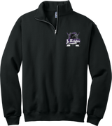 Old Bridge Jr. Knights NuBlend 1/4-Zip Cadet Collar Sweatshirt