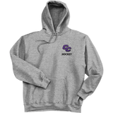 Curry College Ultimate Cotton - Pullover Hooded Sweatshirt