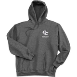 Curry College Ultimate Cotton - Pullover Hooded Sweatshirt