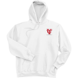 University of Tampa Ultimate Cotton - Pullover Hooded Sweatshirt