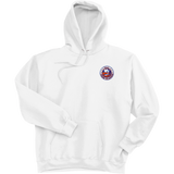 PAL Jr. Islanders Ultimate Cotton - Pullover Hooded Sweatshirt