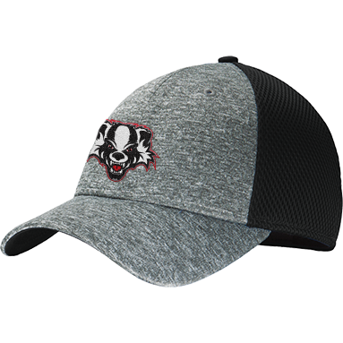 Scary Badgers New Era Shadow Stretch Mesh Cap