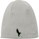 Wilmington Nighthawks New Era Knit Beanie