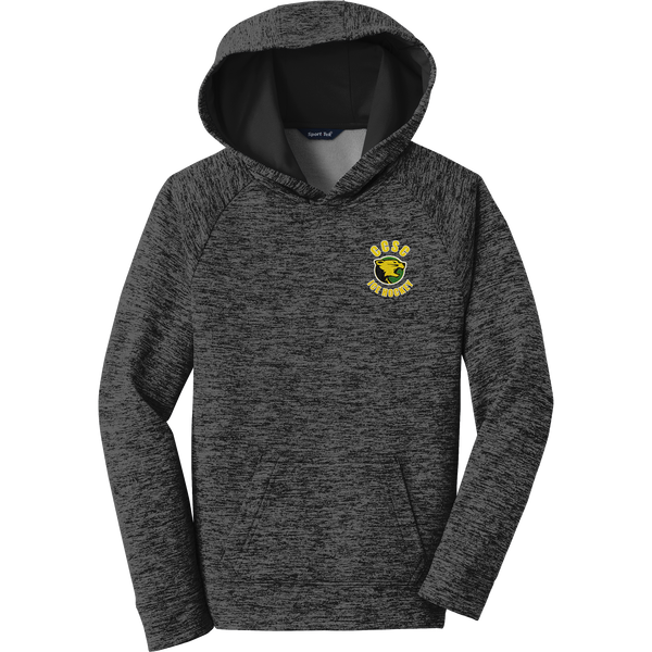Chester County Youth PosiCharge Electric Heather Fleece Hooded Pullover